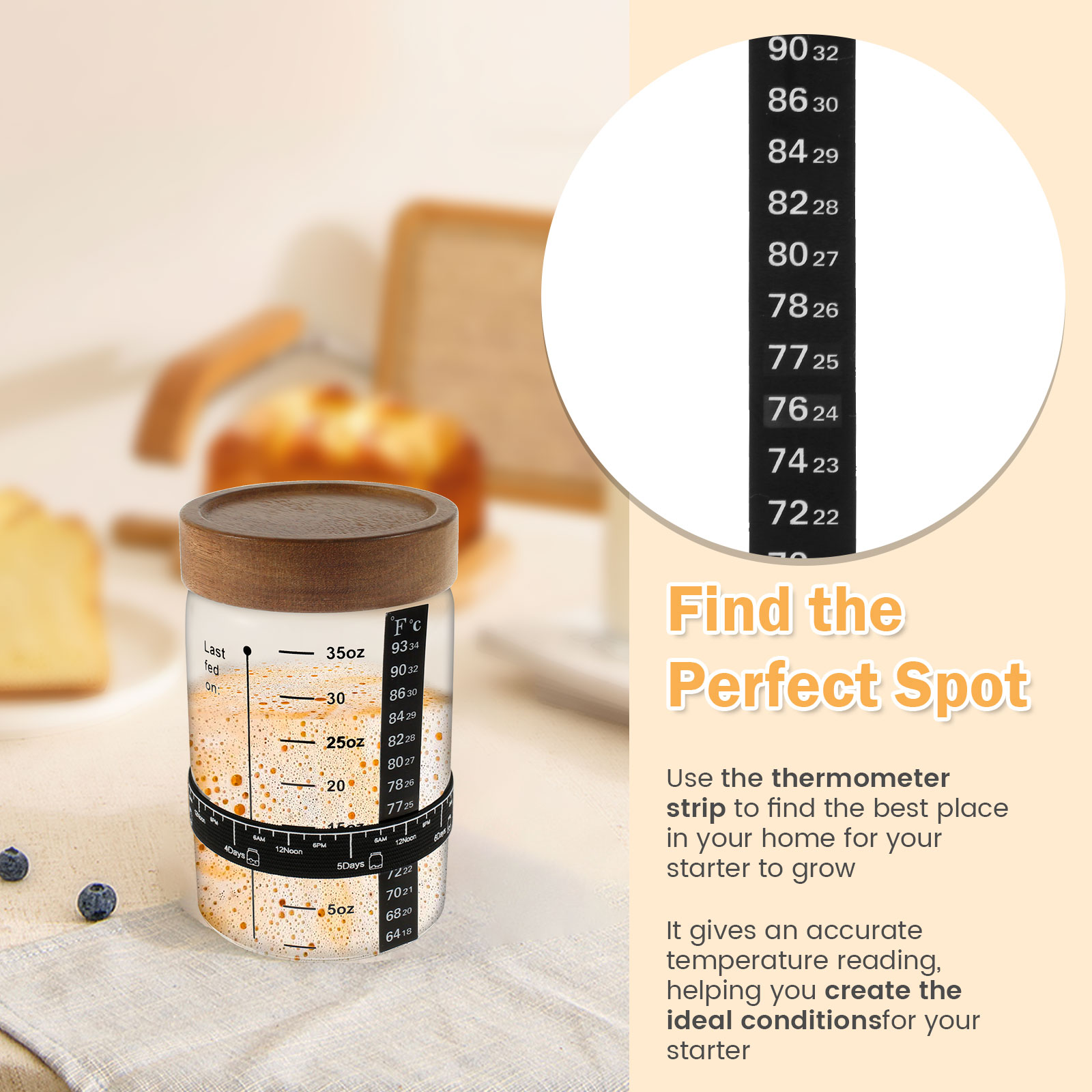 Sourdough ชุดโถสำหรับเริ่มใช้ง - Kitchen Baking Storage Containers บทวิจารณ์และราคา